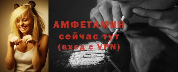 прущие грибы Баксан