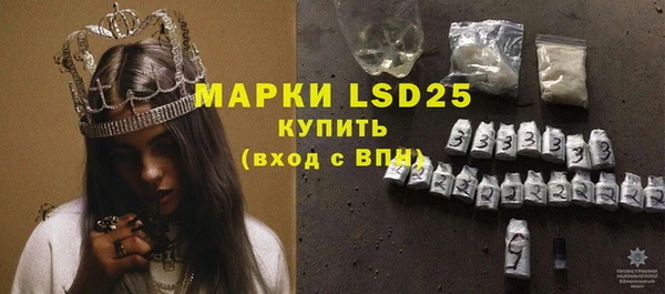 прущие грибы Баксан