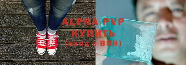 прущие грибы Баксан