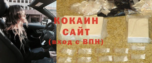 прущие грибы Баксан