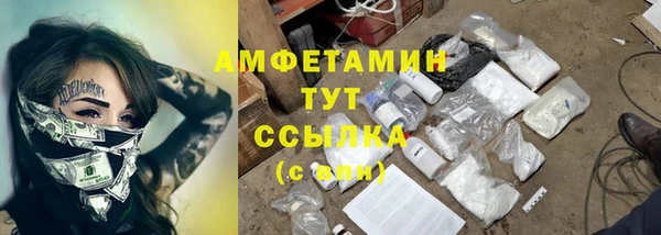 прущие грибы Баксан