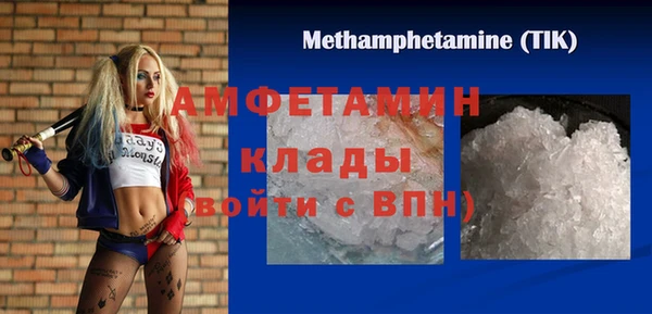 прущие грибы Баксан