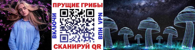 где купить наркотик  Белозерск  Галлюциногенные грибы Psilocybe 