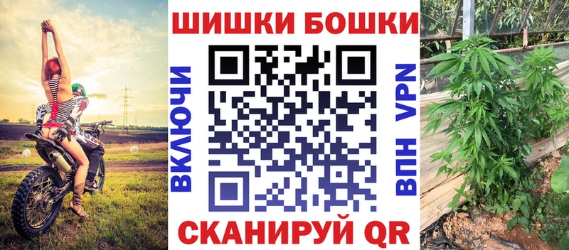 нарко площадка клад  omg сайт  Белозерск  купить  цена  Шишки марихуана Amnesia 